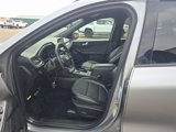 Used 2023 Ford Escape ST-Line w/ Equipment Group 301A image 3