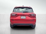 Used 2023 Ford Escape ST-Line w/ Equipment Group 301A image 5