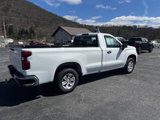 Used 2023 Chevrolet Silverado 1500 W/T w/ WT Fleet Convenience Package image 4