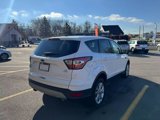 Used 2017 Ford Escape SE w/ SE Cold Weather Package image 5