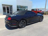 Certified 2021 Ford Mustang Premium image 5