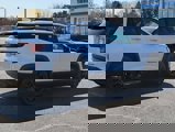 New 2025 GMC Terrain Elevation w/ Elevation Premium Package image 4