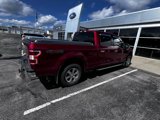 Used 2018 Ford F150 XLT w/ Equipment Group 302A Luxury image 4