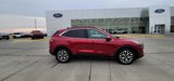 Used 2020 Ford Escape Titanium image 5