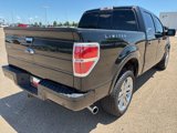 Used 2014 Ford F150 Limited image 6