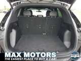 Used 2023 Ford Escape ST-Line image 5