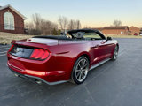 Used 2019 Ford Mustang Premium w/ Equipment Group 201A image 6