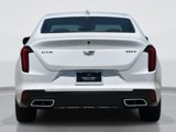 New 2025 Cadillac CT4 Premium Luxury image 4