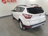 Used 2018 Ford Escape SE w/ Ford Safe & Smart Package image 6