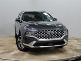Used 2021 Hyundai Santa Fe SEL w/ Convenience + Premium Package image 3