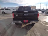 Used 2016 Ford F150 XLT w/ Equipment Group 302A Luxury image 3