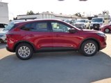 New 2025 Ford Escape Active w/ Tech Pack #1 image 5