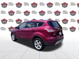 Used 2014 Ford Escape SE image 3