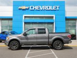 Used 2011 Ford F150 XLT w/ XLT Chrome Pkg image 2