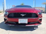 Used 2019 Ford Mustang Premium w/ Equipment Group 201A image 2