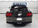 Used 2021 Ford Mustang Coupe w/ Equipment Group 101A image 6