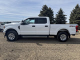 Used 2022 Ford F250 XLT image 5