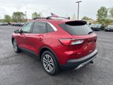 Used 2021 Ford Escape SEL w/ Technology Package image 4