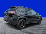 Used 2019 Jeep Cherokee Trailhawk w/ Cold Weather Group image 3