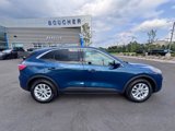 Certified 2020 Ford Escape SE image 4