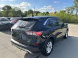 Used 2020 Ford Escape SE image 5