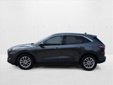 Used 2020 Ford Escape SE image 5
