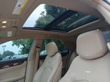 Used 2013 Cadillac CTS Premium image 4