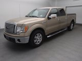 Used 2011 Ford F150 XLT w/ XLT Chrome Pkg image 2