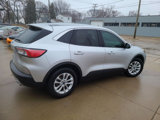 Used 2020 Ford Escape SE image 5