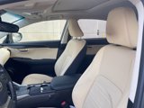 Used 2019 Lexus NX 300h AWD image 5