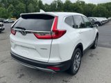 Used 2019 Honda CR-V EX-L image 3