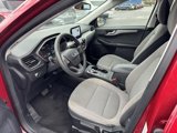 Used 2021 Ford Escape SE image 4