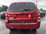 Used 2011 Ford Escape XLT w/ 201A Rapid Spec Order Code image 6