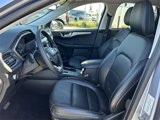 Certified 2022 Ford Escape SEL image 6