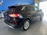Used 2020 Ford Escape SE image 6