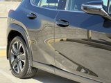 Used 2024 Lexus UX 250h FWD image 5