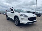 Used 2020 Ford Escape SEL image 4