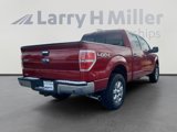 Used 2014 Ford F150 XLT w/ Equipment Group 302A Luxury image 5