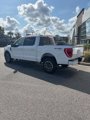 Certified 2023 Ford F150 XLT w/ Equipment Group 302A High image 3