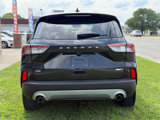 Used 2020 Ford Escape SE image 4
