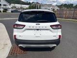 Used 2020 Ford Escape SE image 6
