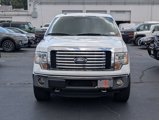 Used 2012 Ford F150 XLT w/ XLT Chrome Pkg image 5