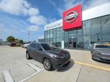 Used 2019 Jeep Cherokee Latitude Plus w/ Comfort/Convenience Group image 2
