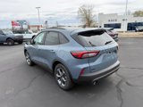 New 2025 Ford Escape ST-Line w/ Cold Weather Package image 4
