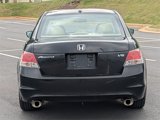 Used 2010 Honda Accord EX-L image 5