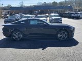 New 2025 Ford Mustang Coupe image 5