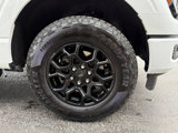 Used 2024 Ford F150 XLT image 5