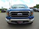 Used 2023 Ford F150 XLT w/ Equipment Group 302A High image 3
