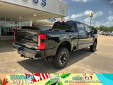 New 2025 Ford F250 Platinum image 2