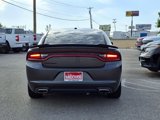 Used 2020 Dodge Charger SXT w/ Blacktop Package image 5
